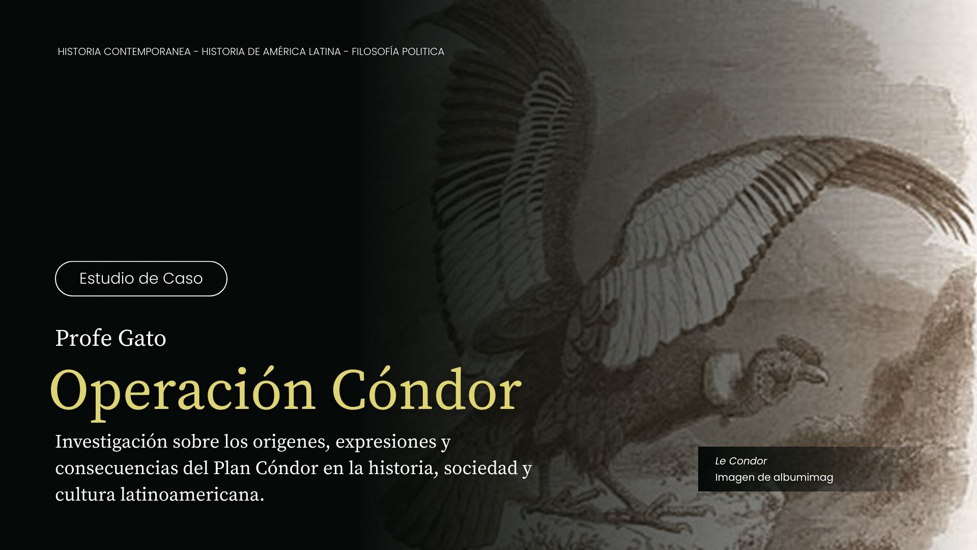 Operación Condor